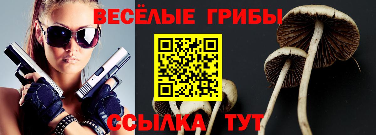 Галлюциногенные грибы MAGIC MUSHROOMS  Вход с VPN  Галлюциногенные грибы мицелий  Старая Купавна 